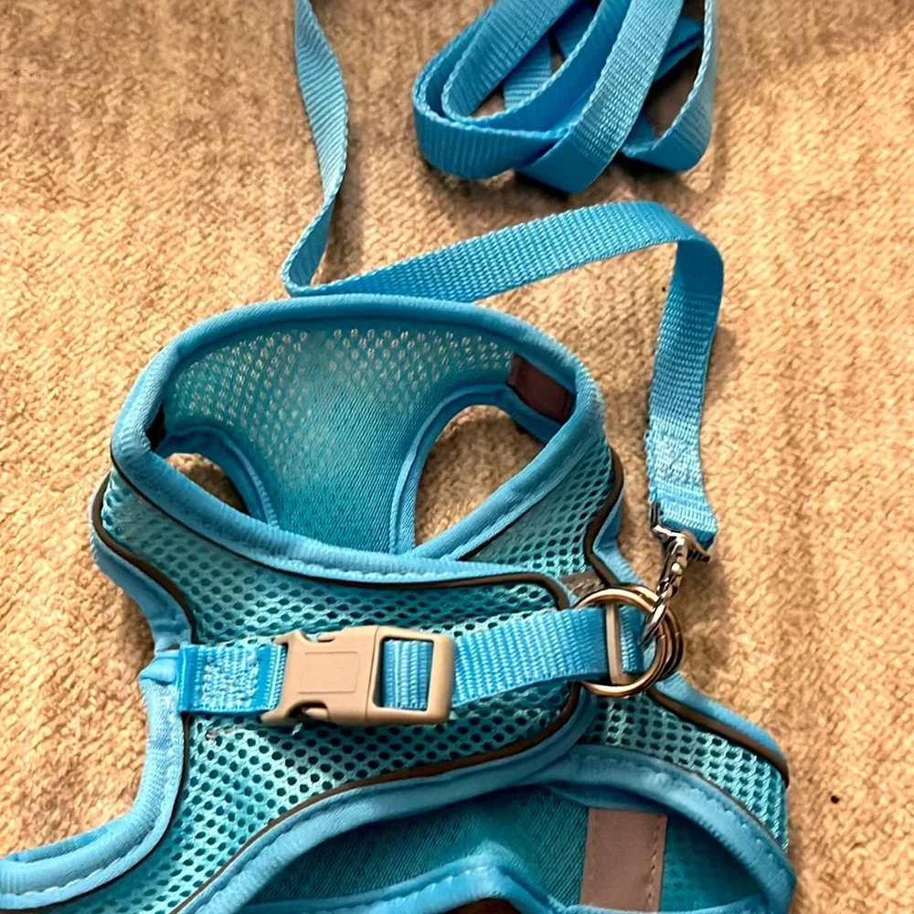NWT Light Blue Reflective Double Secure Harness & Leash Set